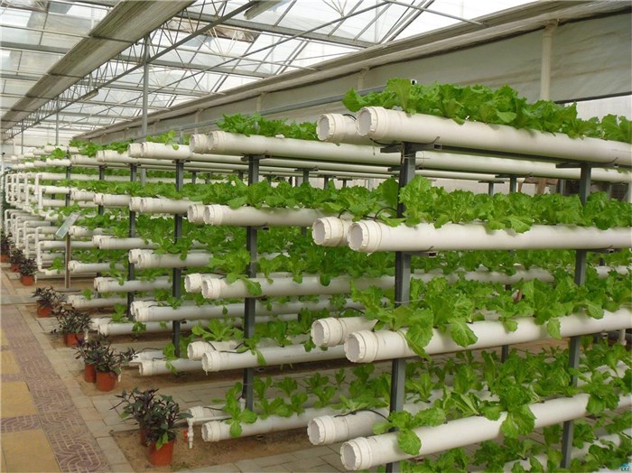 鹤壁市鱼菜共生种植槽 - 一站式服务