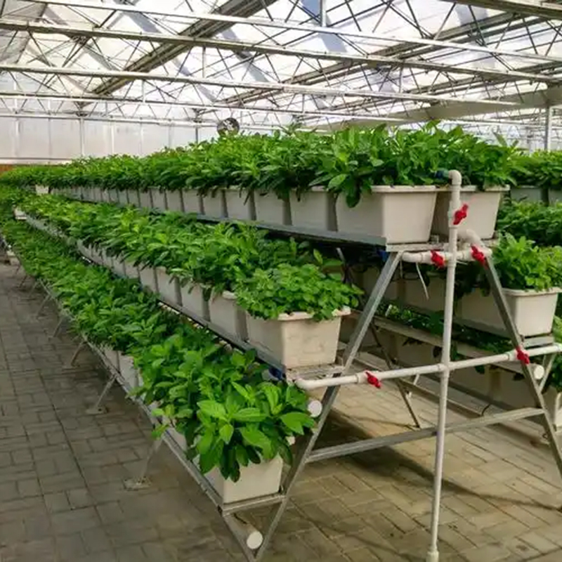 鹤壁市植物工厂蔬菜大棚 - 排名