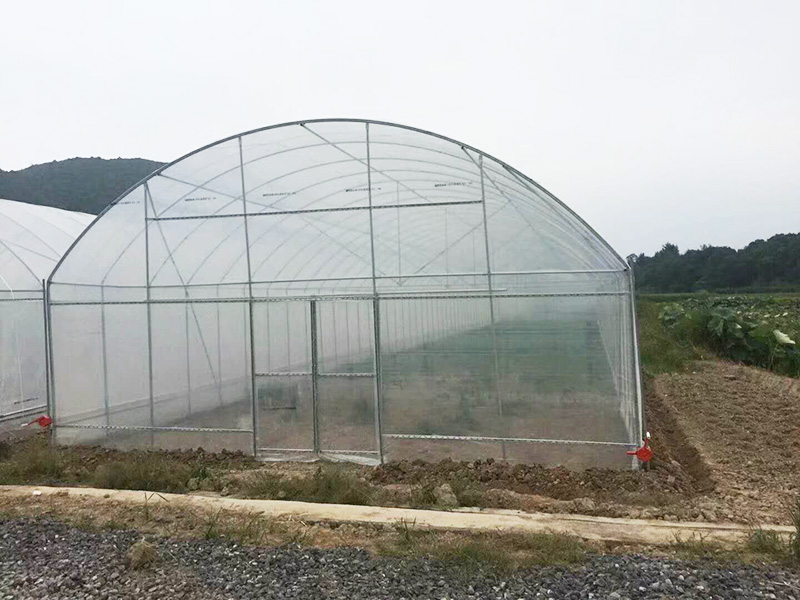 鹤壁市薄膜大棚水肥机 - 推荐